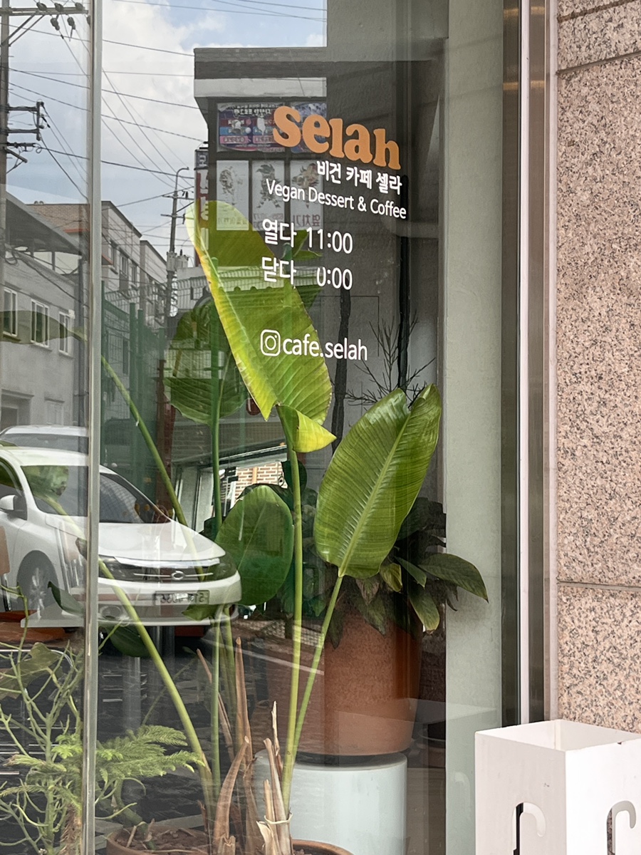 셀라 사진 3