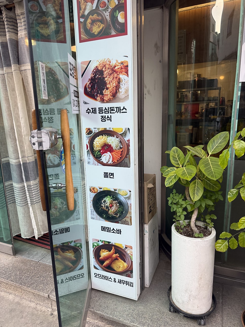 동강함박 사진 4