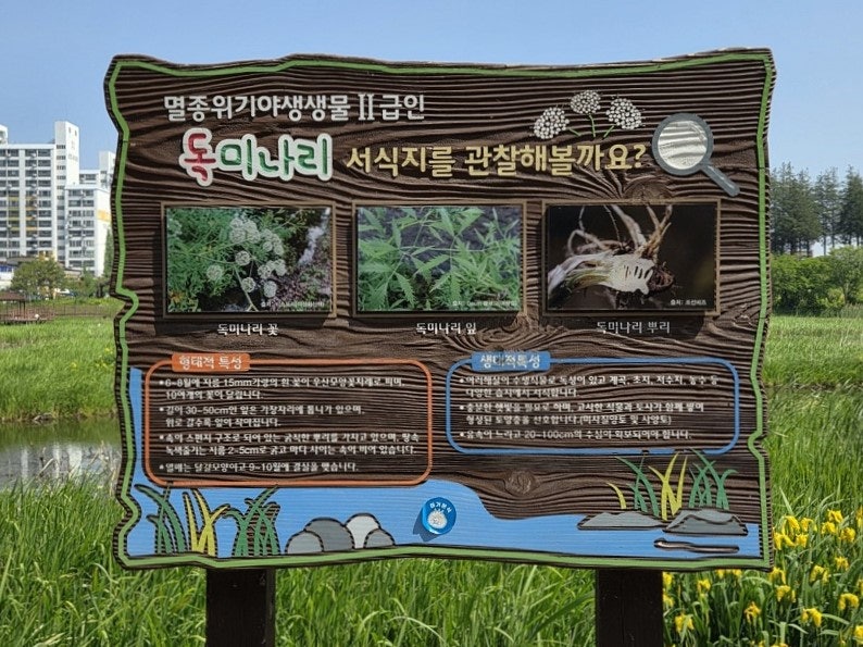 빙등저수지 사진 2