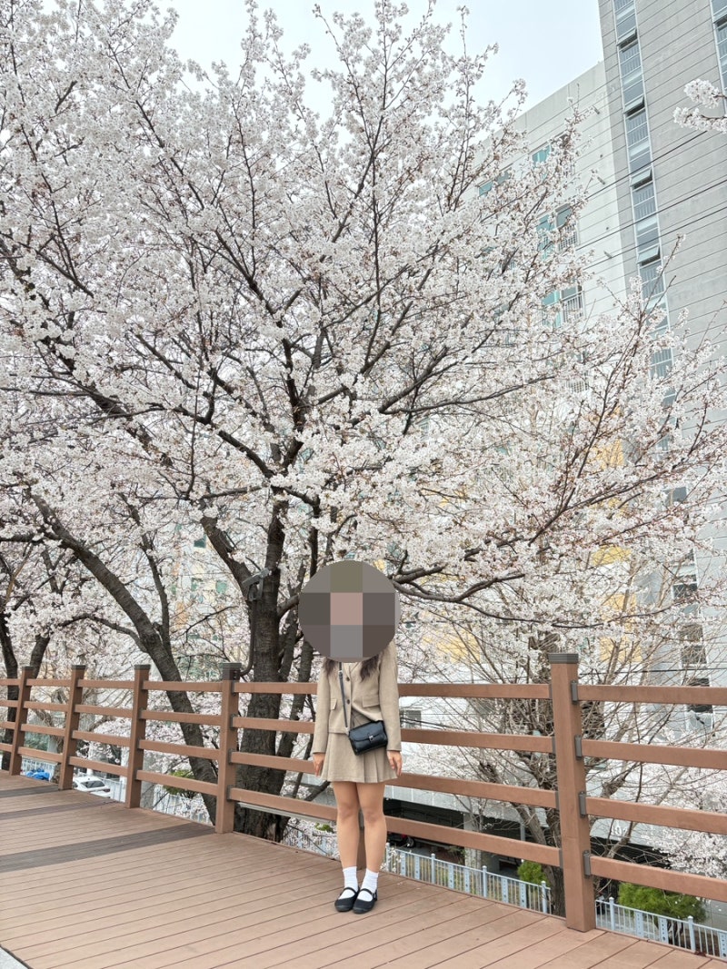 [로엠Roem] 로엠 여성 블라우스, 린넨라이크 긴팔 자켓 세트, 올데이셔츠 리뷰, 여성 브랜드 로....