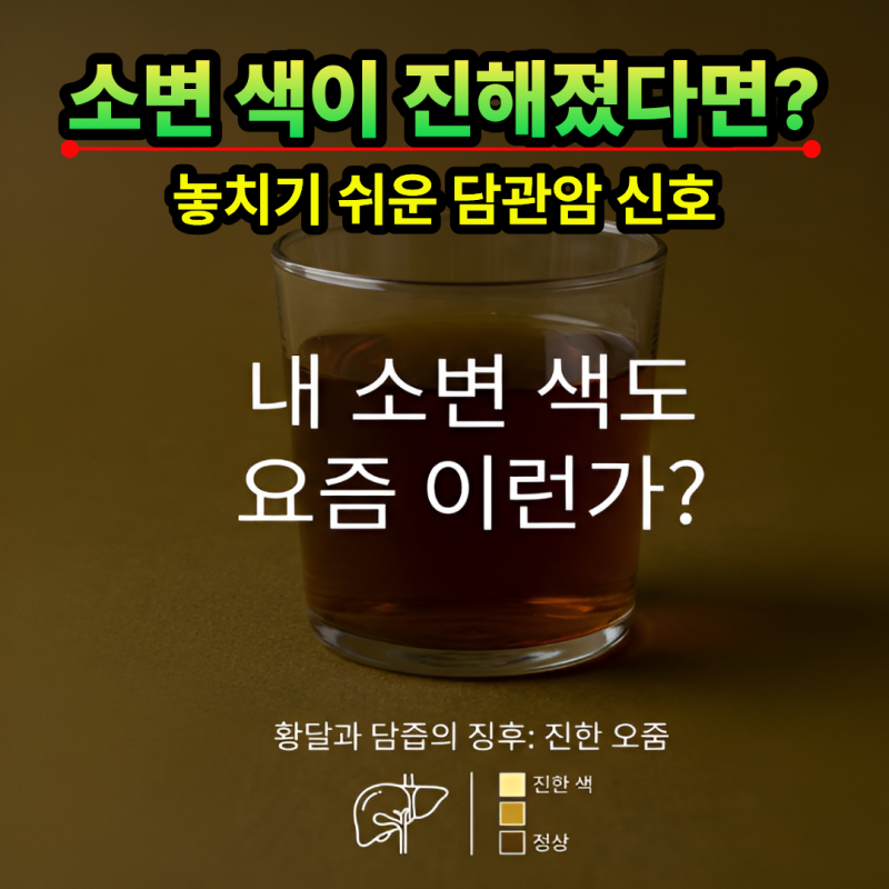 담관암 증상 및 담도암에 좋은 음식 식단 관리 방법