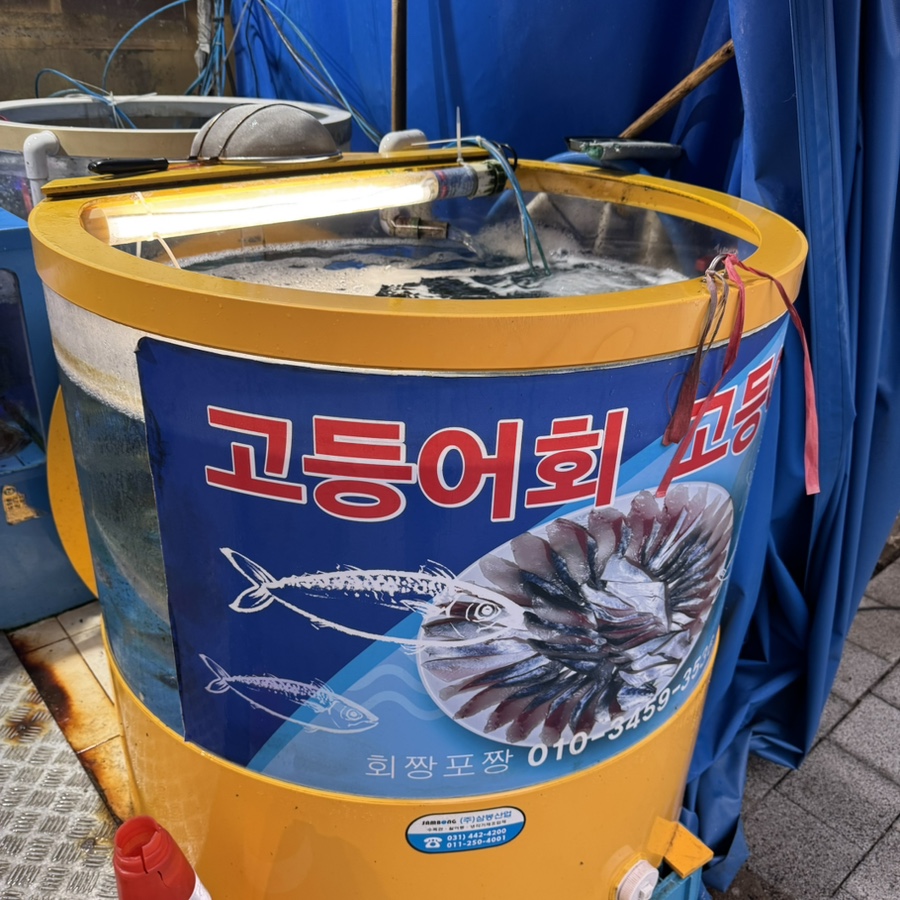 회짱포짱 사진 3