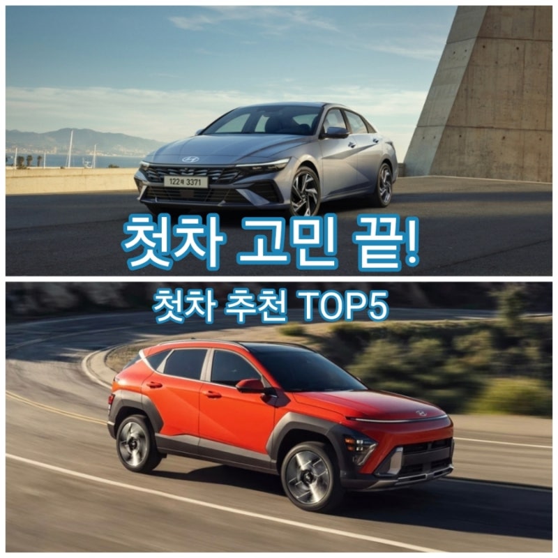 사회초년생 첫차 추천 TOP5, 가격부터 유지비까지 비교