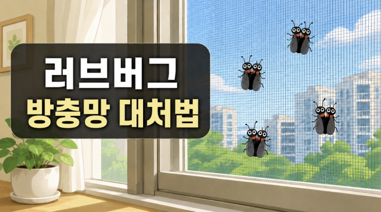  러브버그 출몰시기와 퇴치법, 방충망에 붙을 때 먼저 할 일