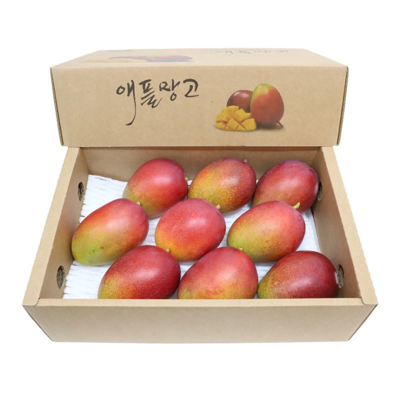 제주도 애플망고 선물세트 3kg 구매 전 체크 포인트