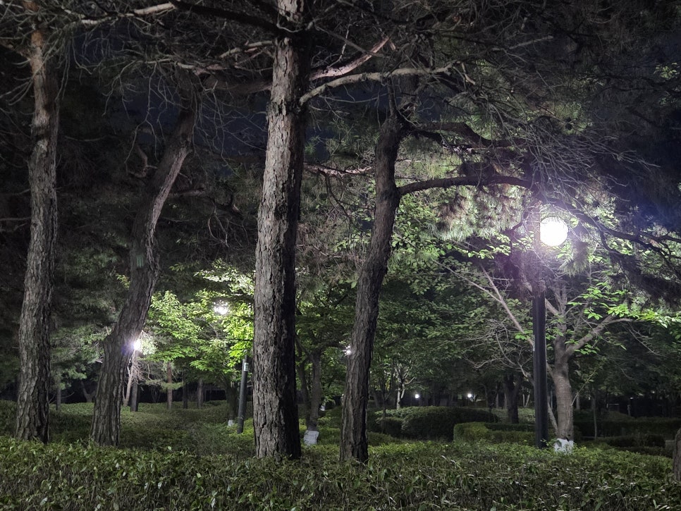 대교장 사진 4