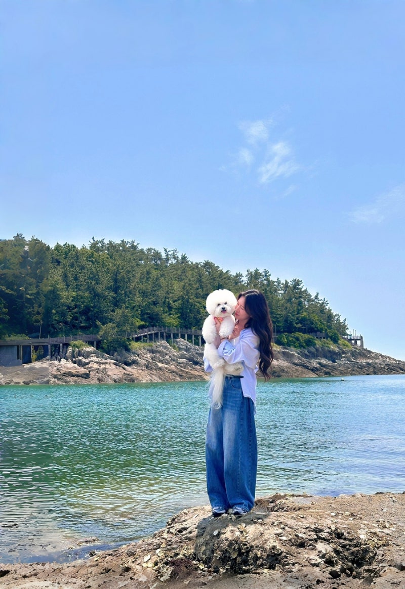 군산 애견동반 여행 1박2일 후기 | 카페 맛집 숙소 추천 코스