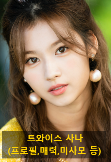 트와이스 사나(프로필,매력,미사모 등)