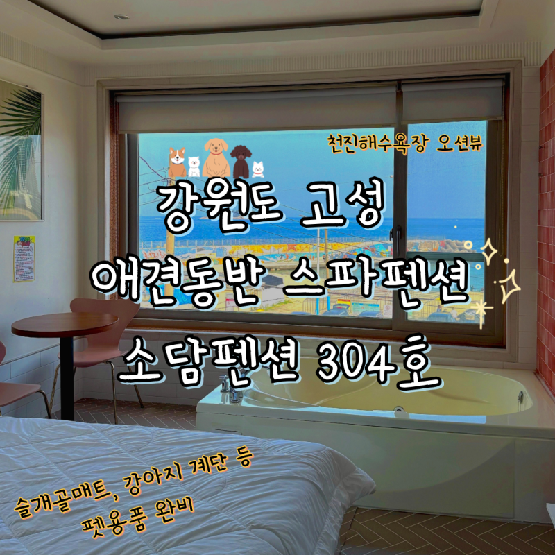 강원도고성애견동반펜션 소담펜션 304호 오션뷰 애견동반펜션 천진해수욕장