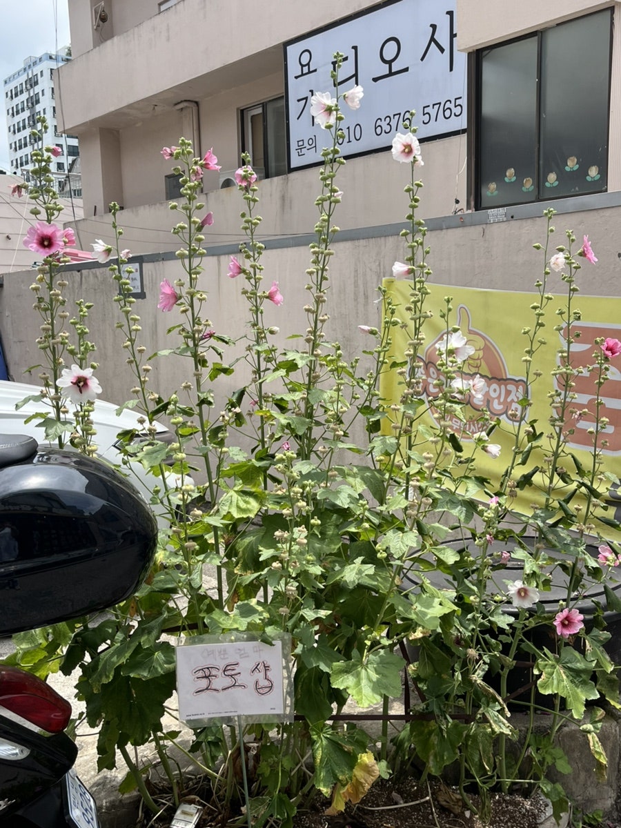 명문각 사진 6