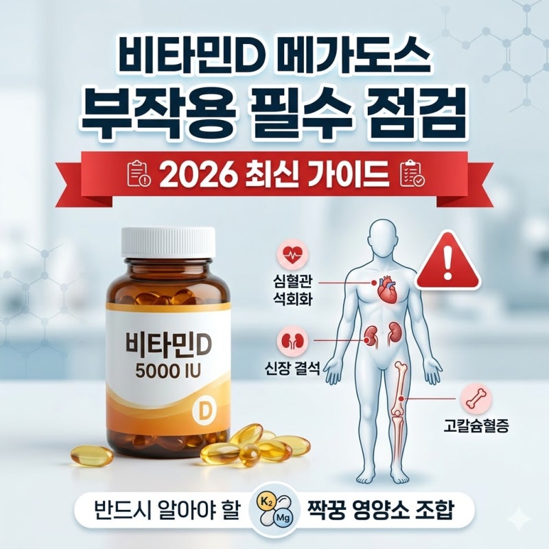2026년 최신 임상 지침 기반 비타민D 메가도스 부작용 핵심 가이드