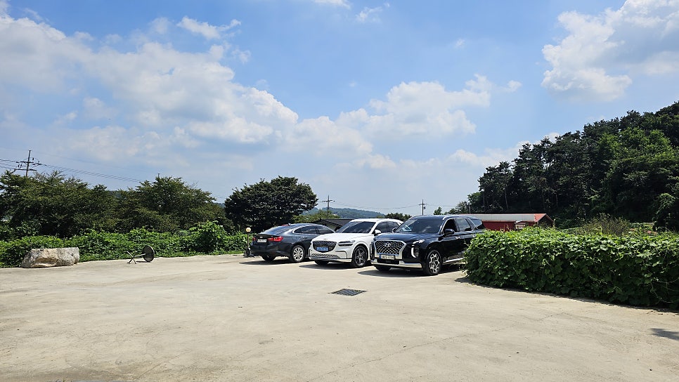 멜시보끔 사진 4