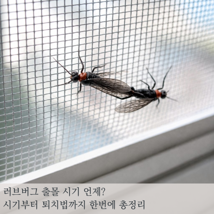 <b>러브 버그</b> 출몰시기와 퇴치법 한눈에 보기