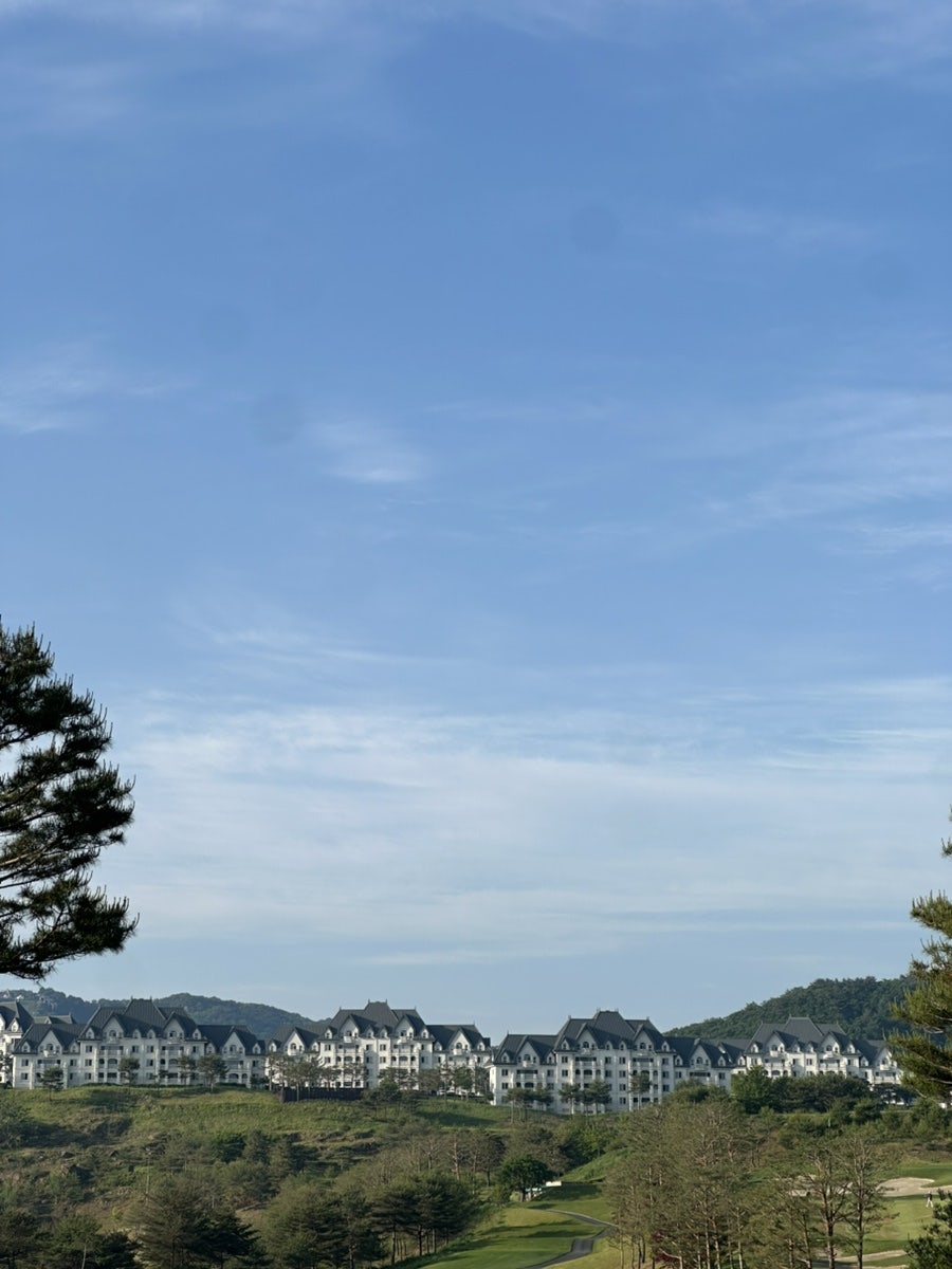 팔봉산꺼먹돼지 사진 1