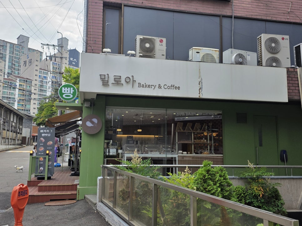 밀로아 사진 2