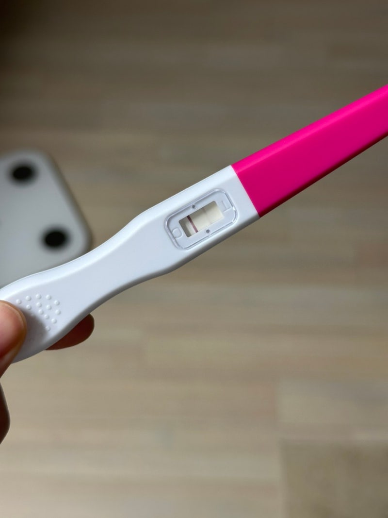 계류유산 후 재임신. 아기집 확인 그리고 피고임