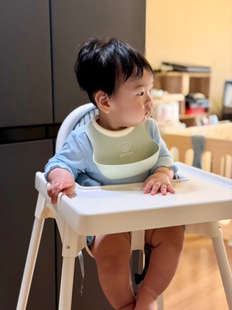 이케아 안틸로프 하이체어 후기 | 가성비 아기의자 추천 (서브용으로 딱)