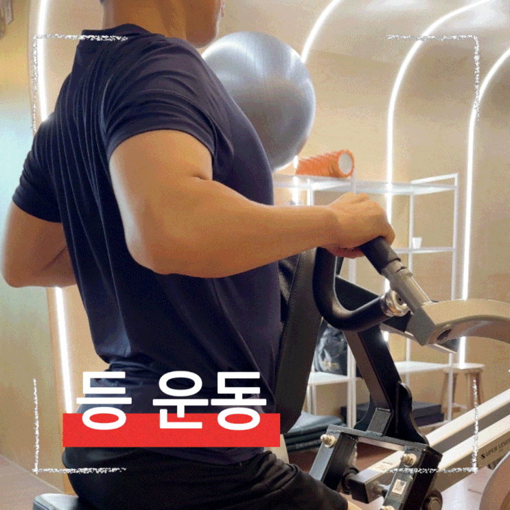  등 운동하는데 자극 안오면 이 머신을 사용해보세요