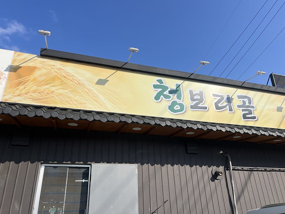청보리골 사진 2