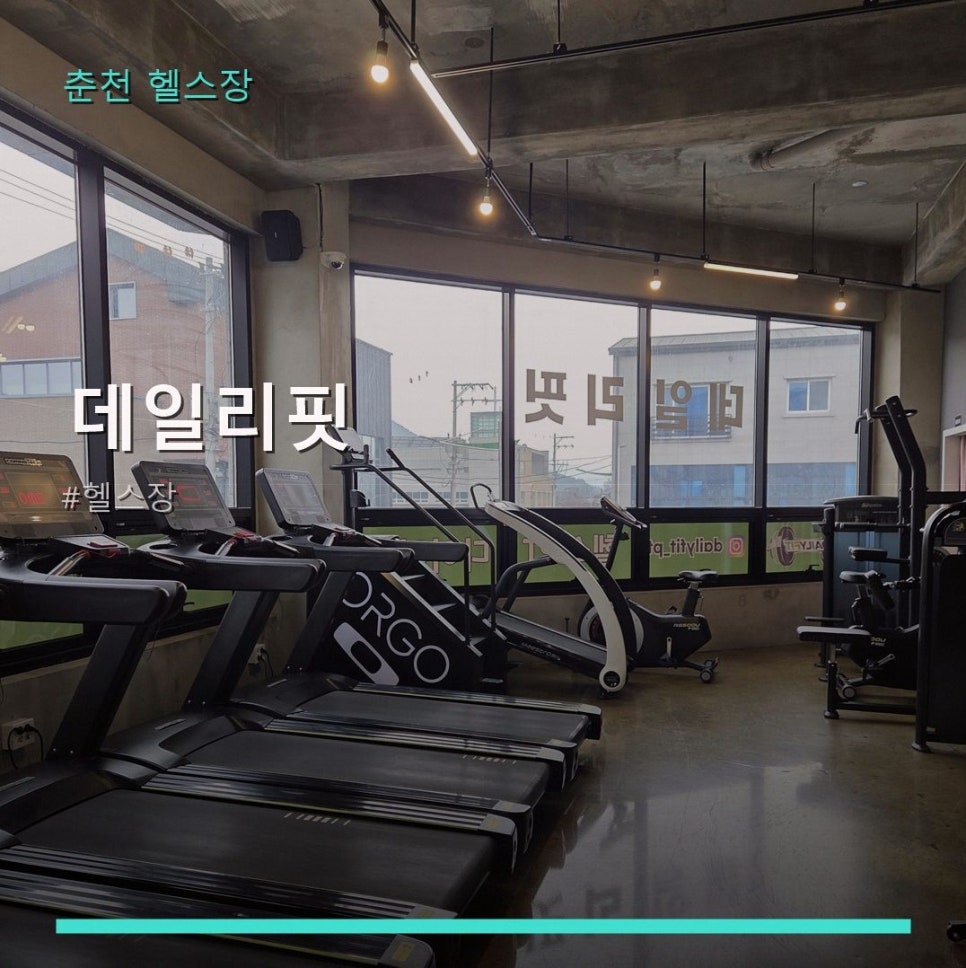 데일리핏 사진 1