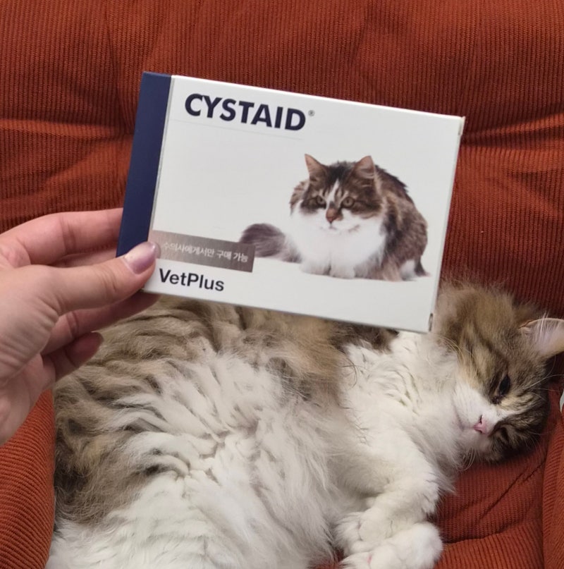 벳플러스 고양이방광보조제 시스테이드(CYSTAID)