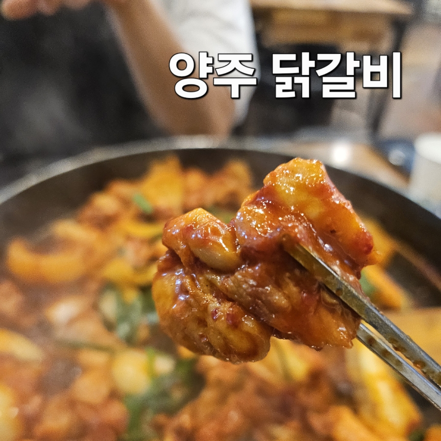 춘천골닭갈비 옥정점 사진 1