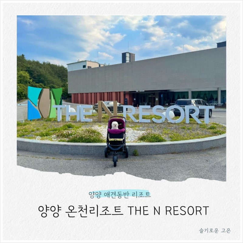 강원도 양양 애견동반 숙소 온천수가 나오는 더앤리조트 펫룸
