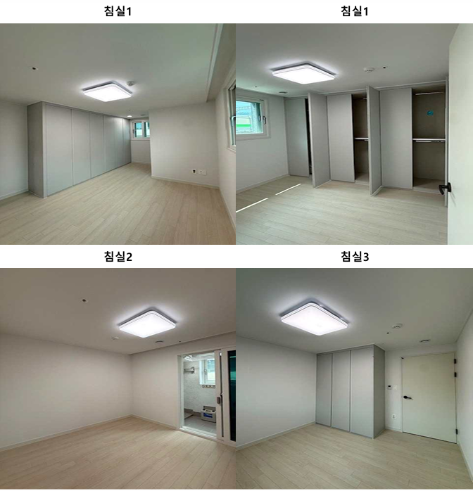 펠리시티 사진 6
