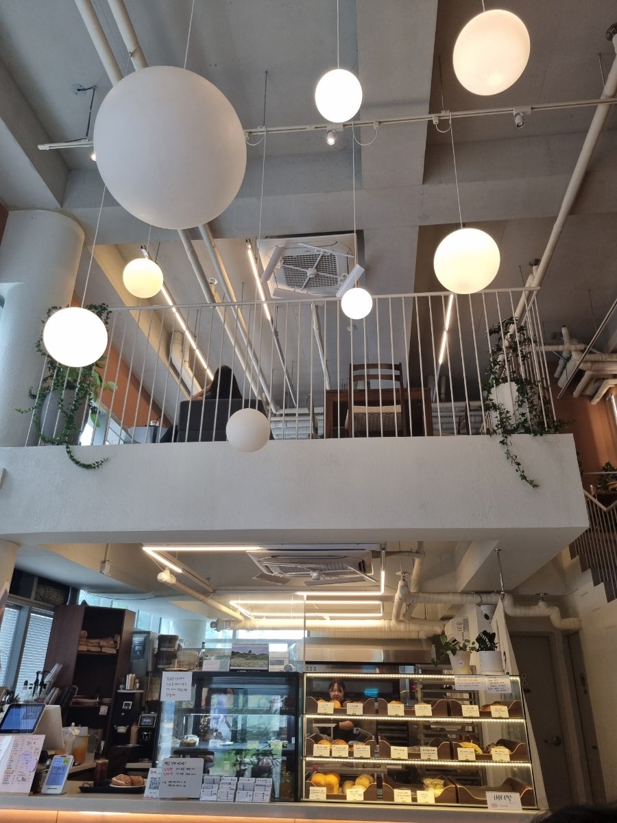 레파스 학동점 사진 3