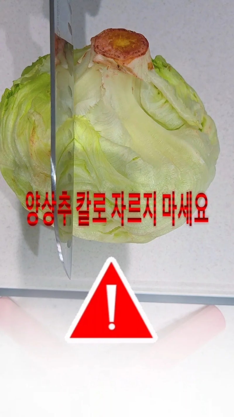 양상추 씻는법, 갈변 없이 오래 보관하는 세척 꿀팁