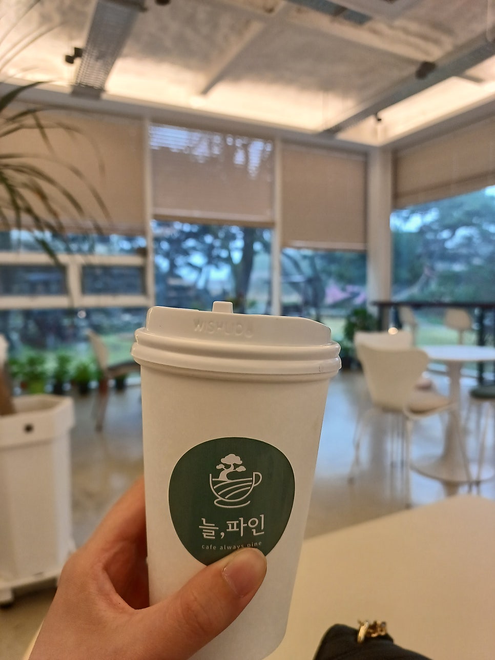 카페 숲 사진 2
