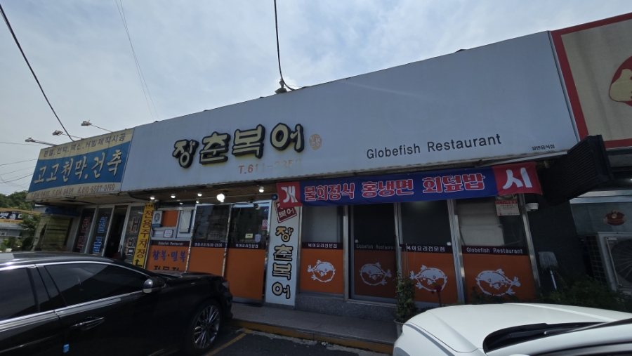 장춘복어 사진 1