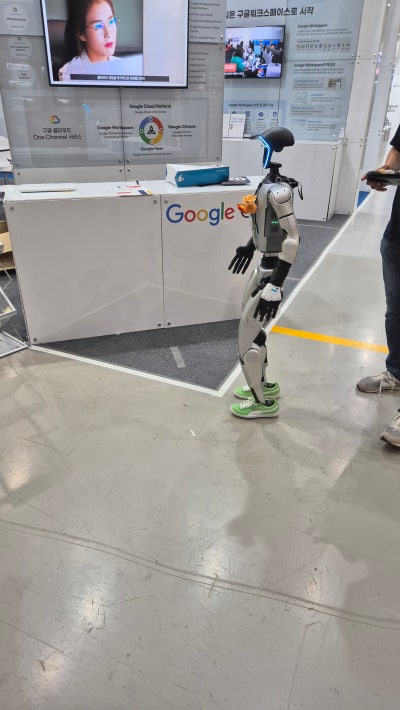 Humanoid robot