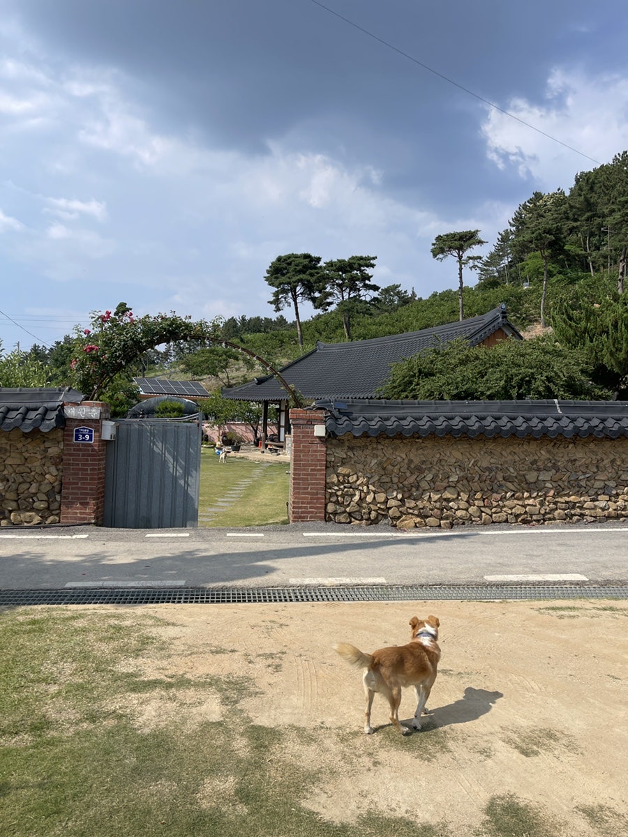 춘원재 사진 5