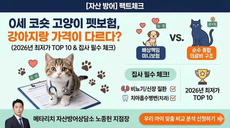 [자산 방어] 0세 코숏 고양이 펫보험, 강아지와 가격이 다른 이유 (2026년 예상 보험료 TOP 10 및 ....