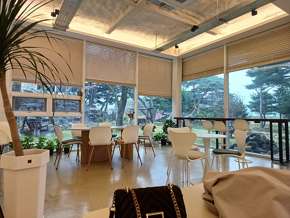 카페 숲 사진 6