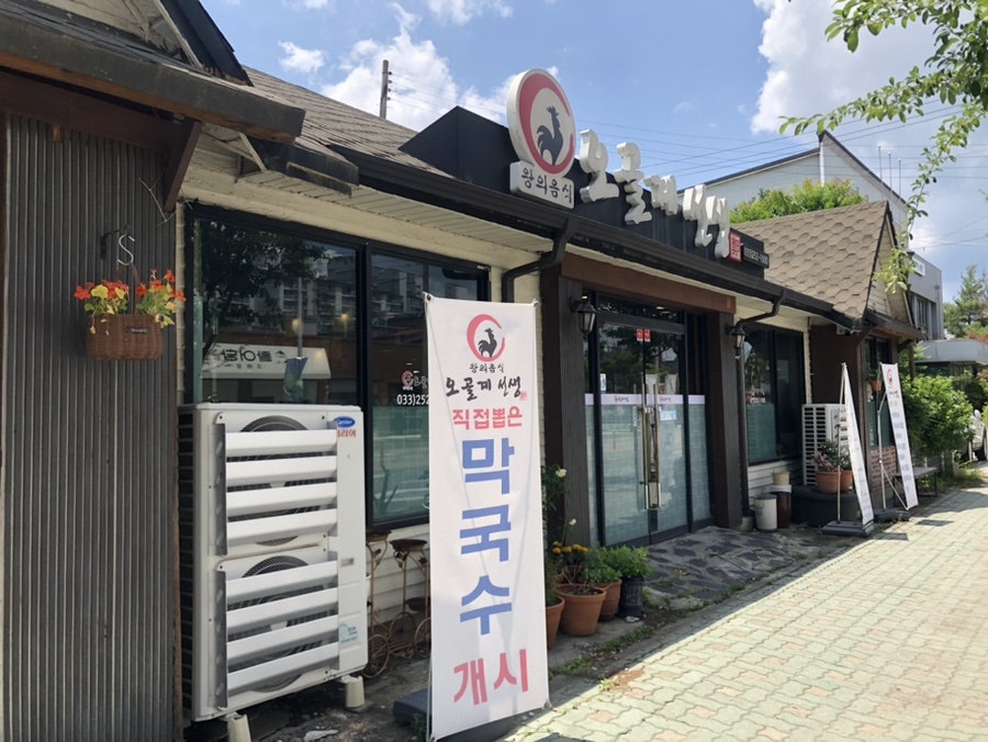 오골계선생 사진 1
