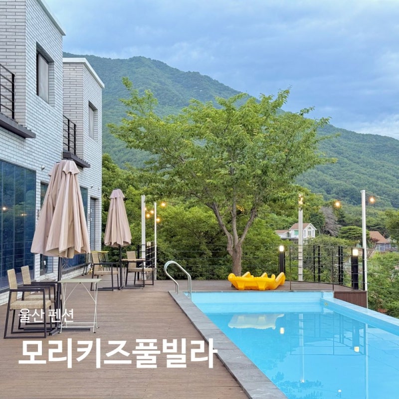 울산 키즈펜션 추천 모리키즈풀빌라 독채 경주 키즈풀빌라 애견동반 숙소