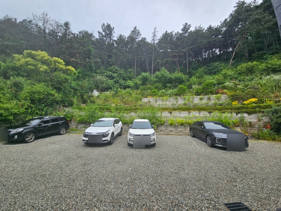 아주르 사진 3