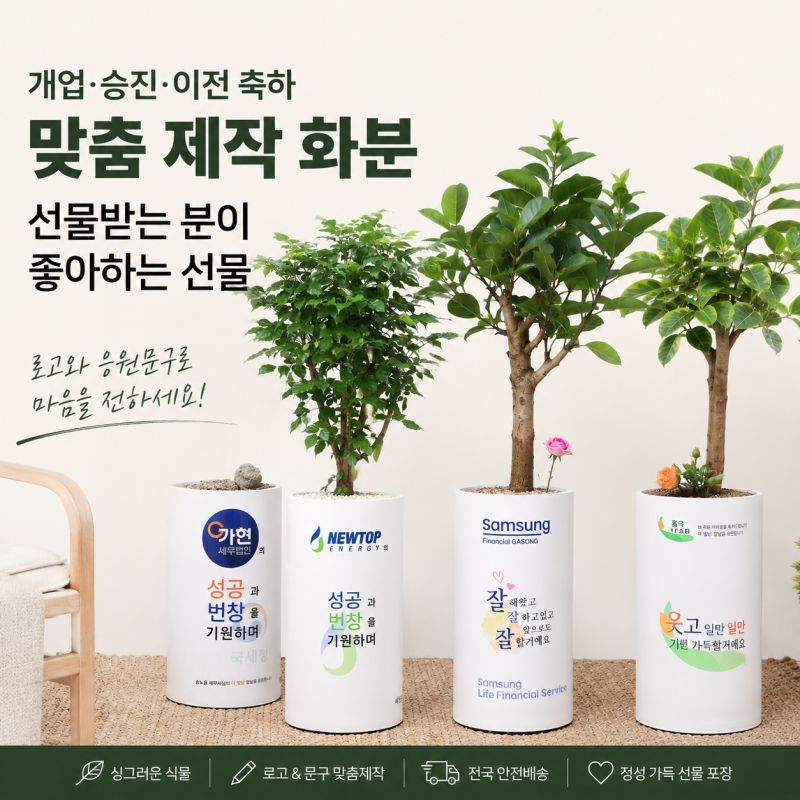 사무실 자영업 개업 화분 추천 선물받는 분이 좋아하는 선물