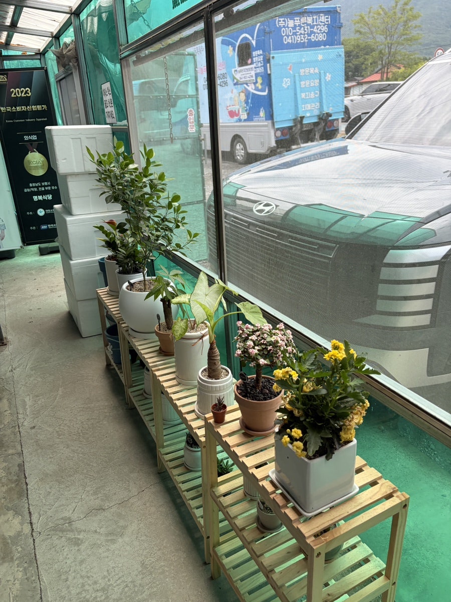 명복식당 사진 5