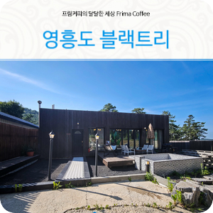 영흥도 독채펜션 블랙트리 수영장 인천펜션