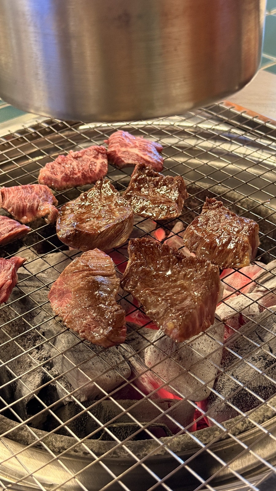 짝귀 사진 5