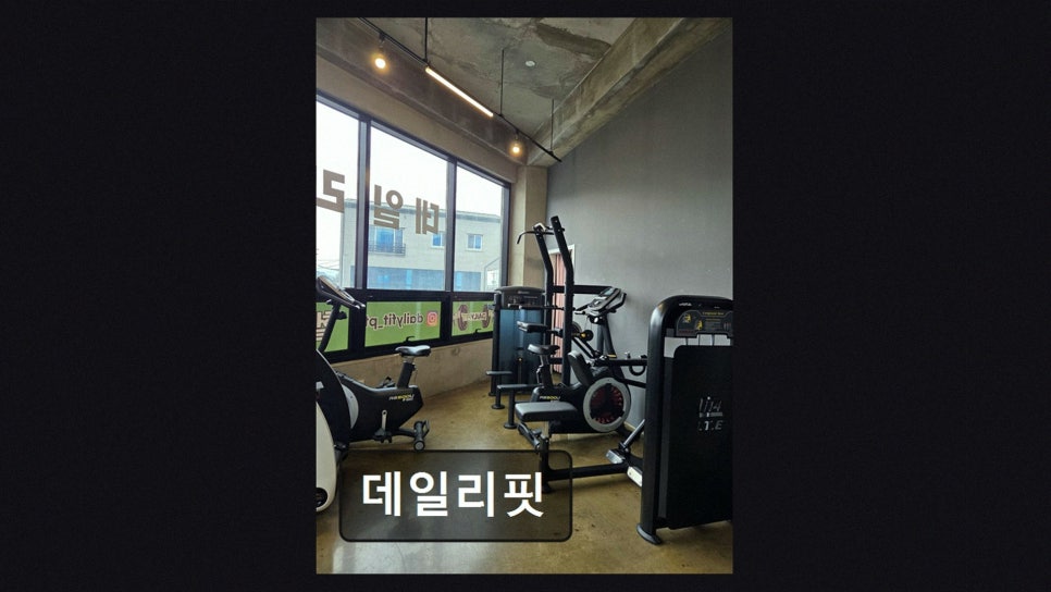 데일리핏 사진 3