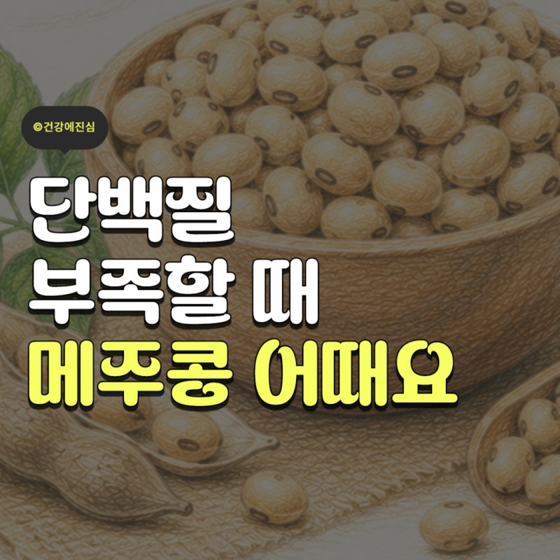 메주콩 효능 영양성분 섭취방법 주의사항 살펴봤더니