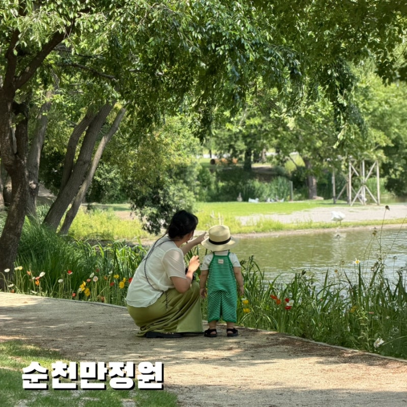 [순천 여행] 아기랑 순천만국가정원 200% 즐기기! 서문 코스, 유모차 대여, 물놀이터, 어린이동....