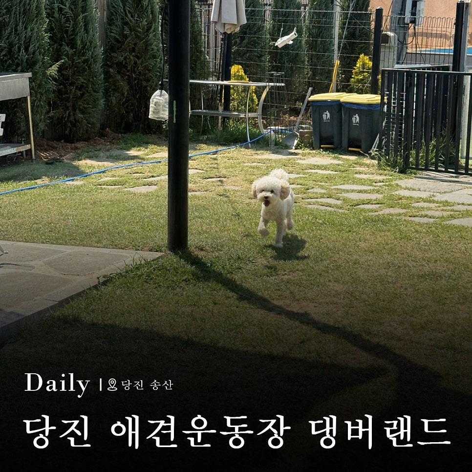 댕버랜드 사진 1