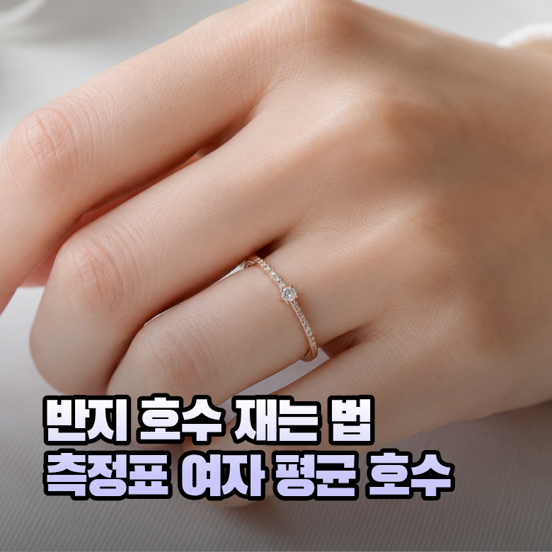 반지 호수 재는 법 측정표 여자 평균 호수 정리