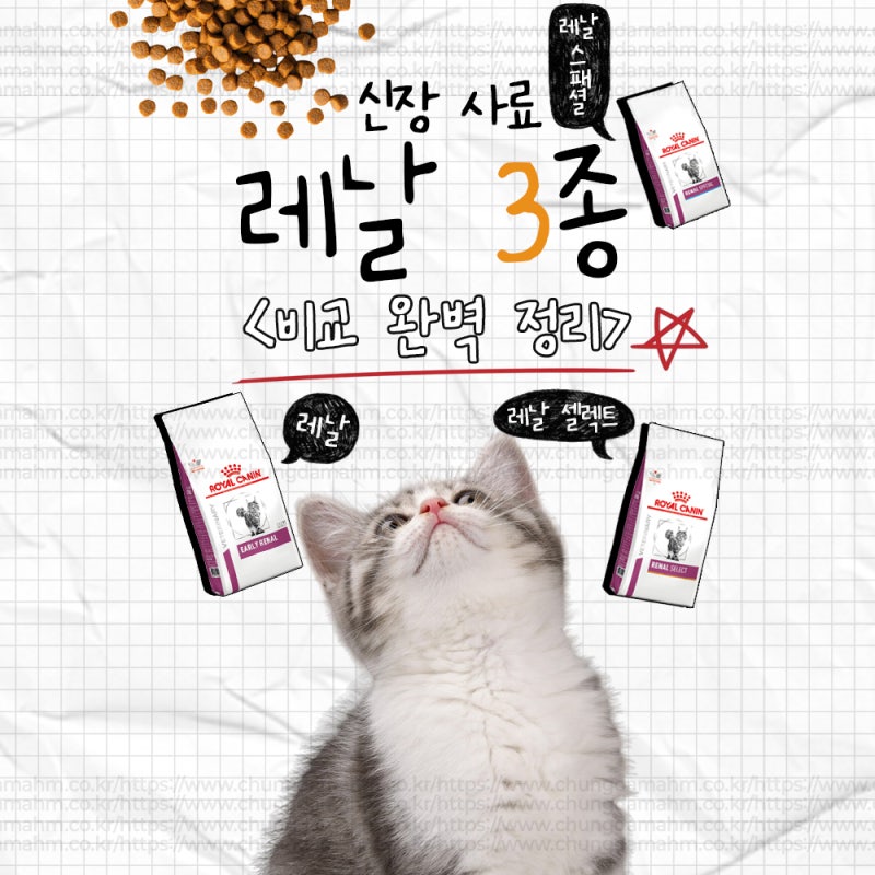 로얄캐닌 신장 사료 레날 3종 비교 완벽 정리