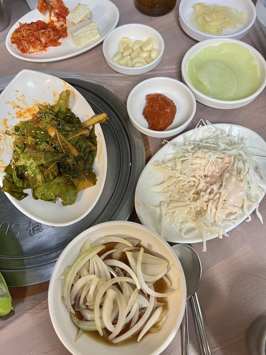 타카라 사진 3